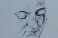 Pity I didn't get to finish this one!